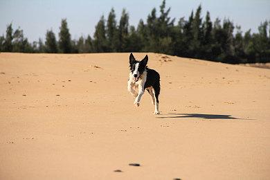 《宇宙机器人》2025年7月免费更新追加五个全新关卡